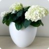 Donica ceramiczna Baroness XL - biały mat H24/Ø27 cm